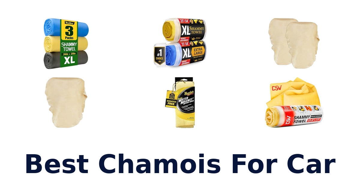 Best Chamois For Car