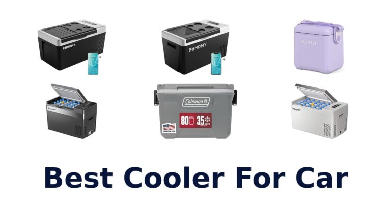 Best Cooler For Car