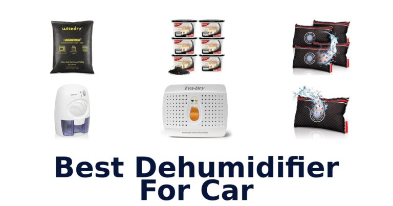 Best Dehumidifier For Car