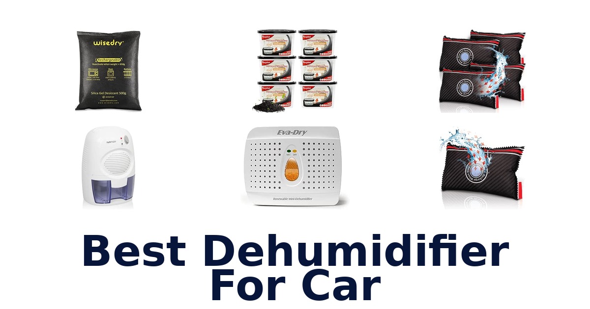 Best Dehumidifier For Car