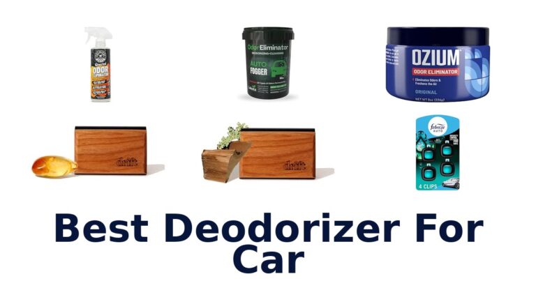 Best Deodorizer For Car