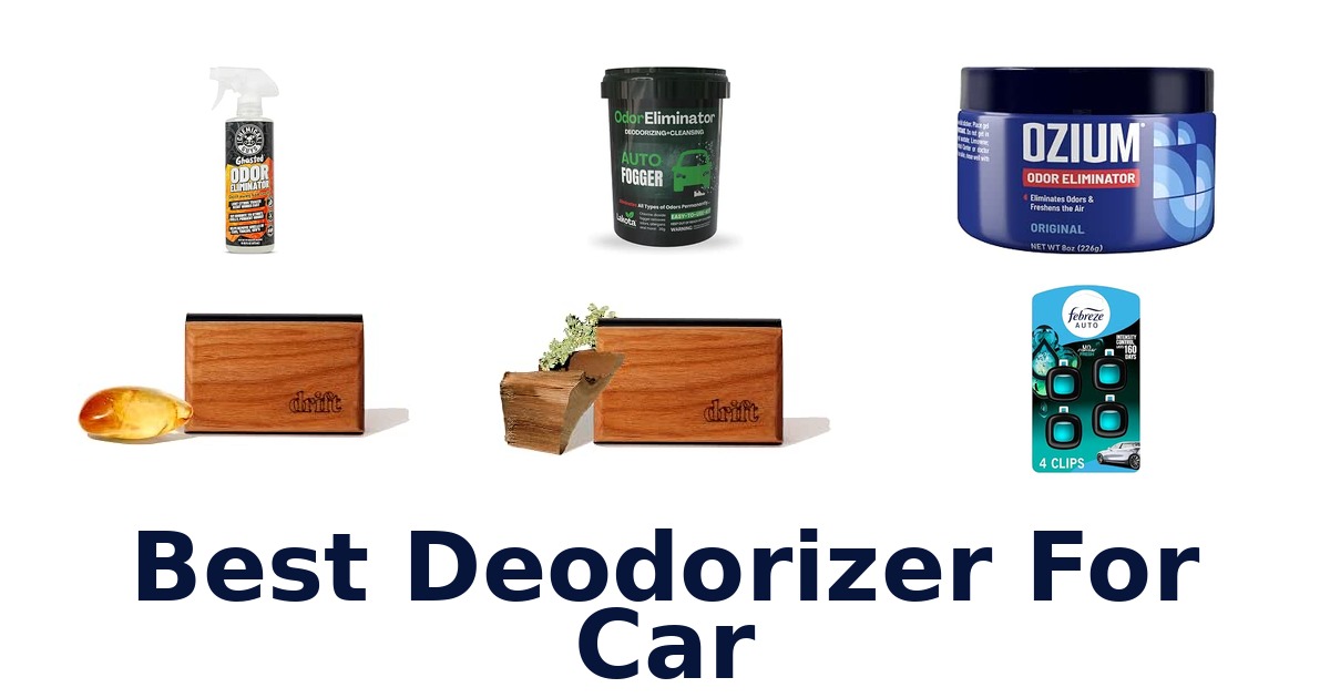 Best Deodorizer For Car