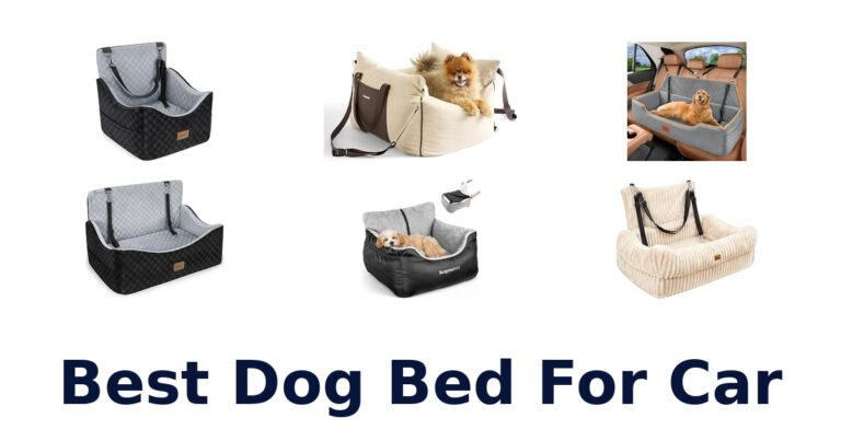 Best Dog Bed For Car
