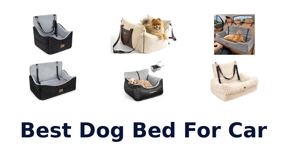 Best Dog Bed For Car