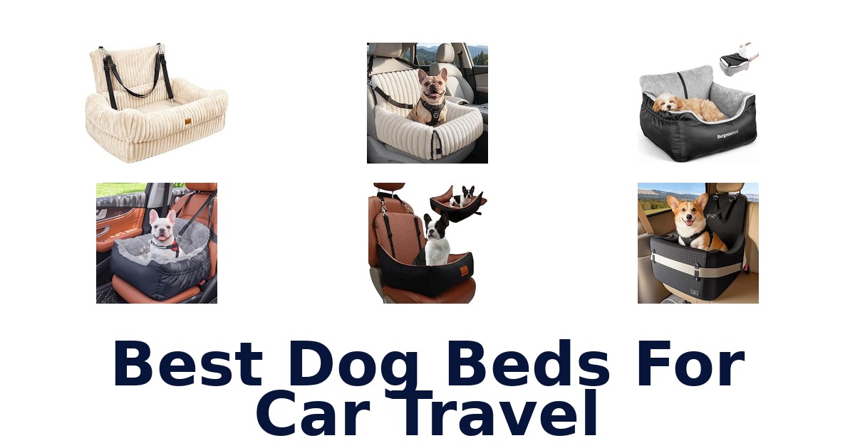 Best Dog Beds For Car Travel