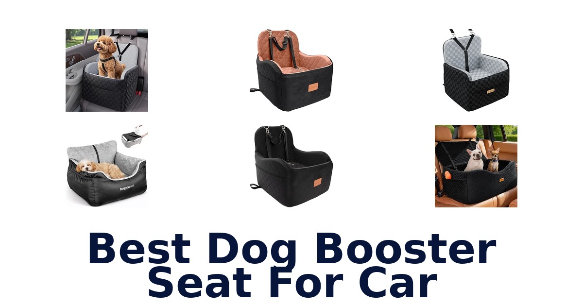 Best Dog Booster Seat For Car