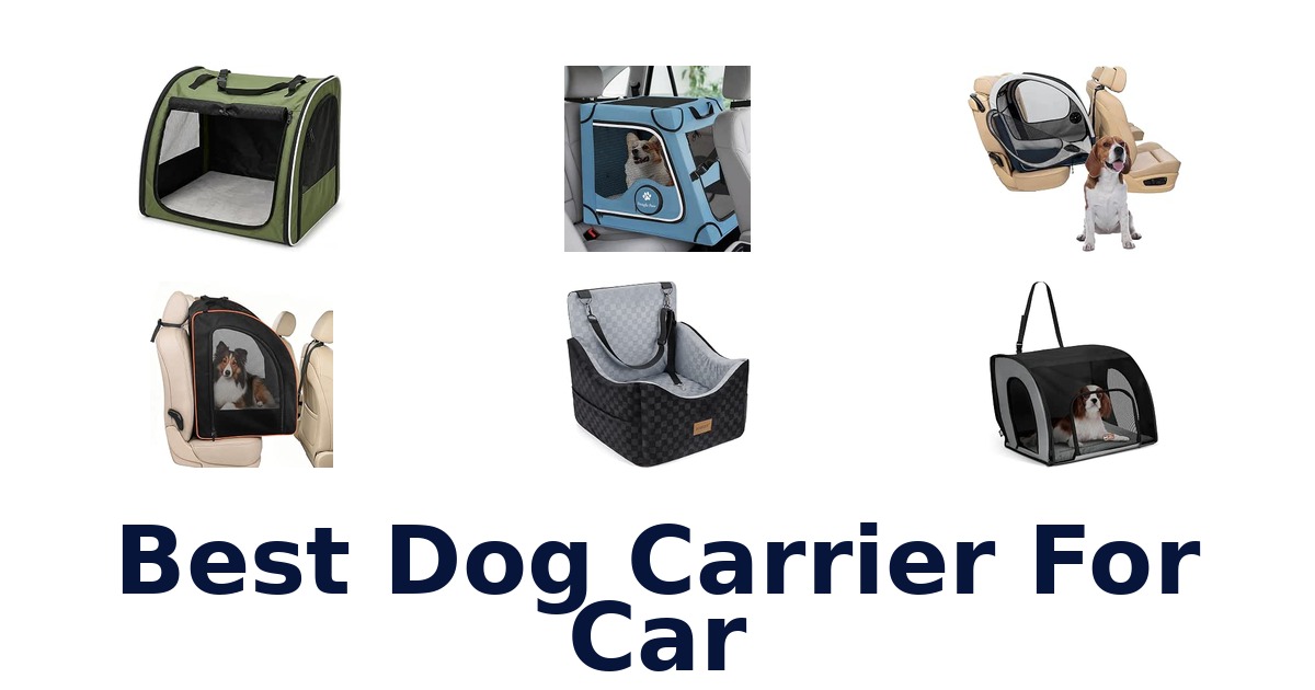 Best Dog Carrier For Car