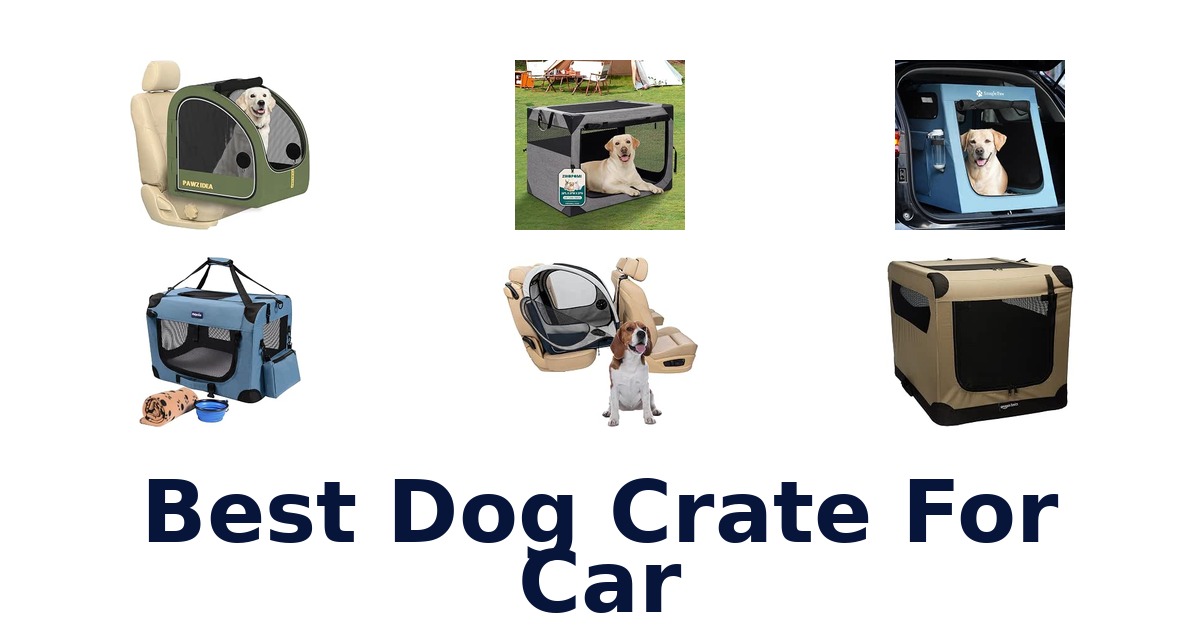 Best Dog Crate For Car