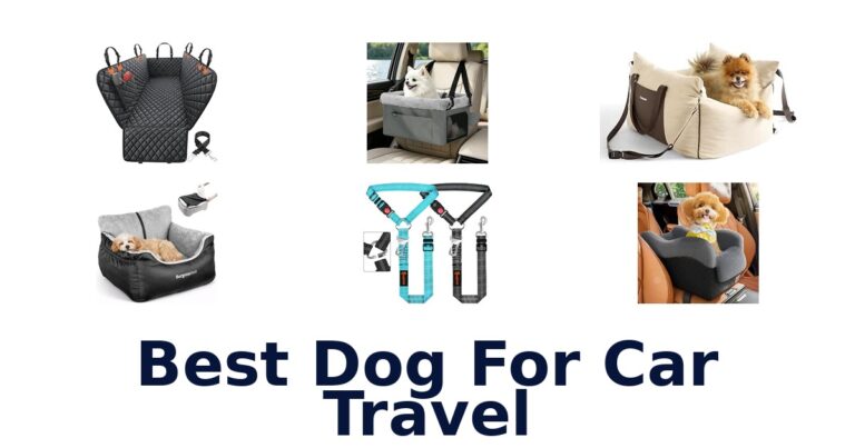 Best Dog For Car Travel