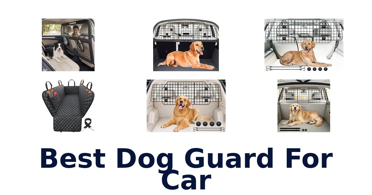 Best Dog Guard For Car