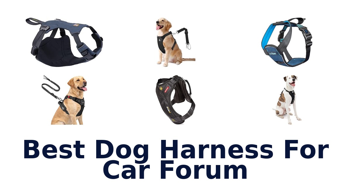 Best Dog Harness For Car Forum