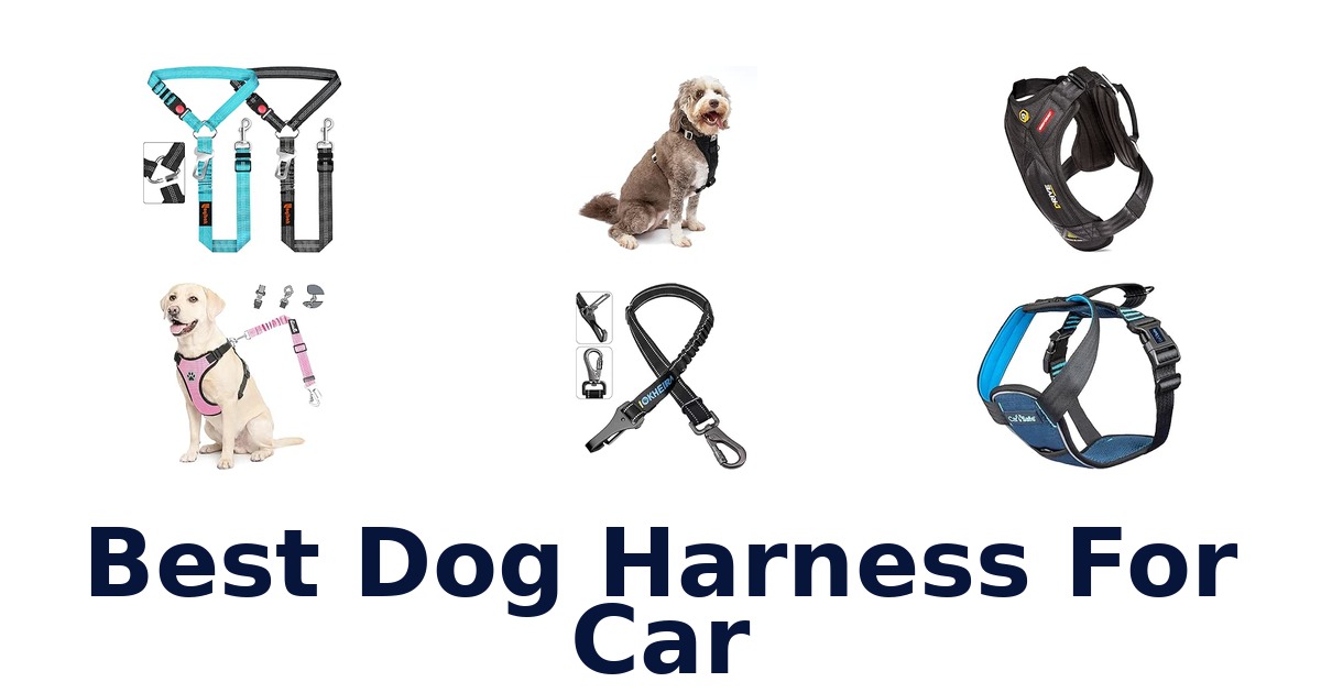 Best Dog Harness For Car