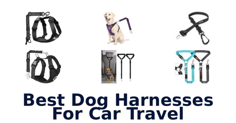 Best Dog Harnesses For Car Travel