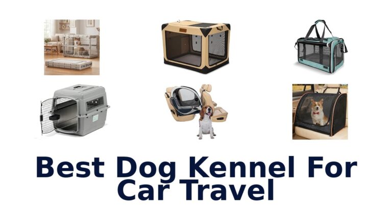 Best Dog Kennel For Car Travel