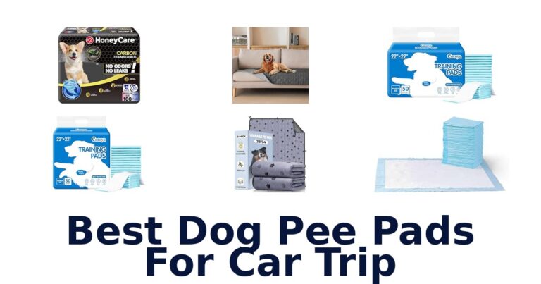Best Dog Pee Pads For Car Trip