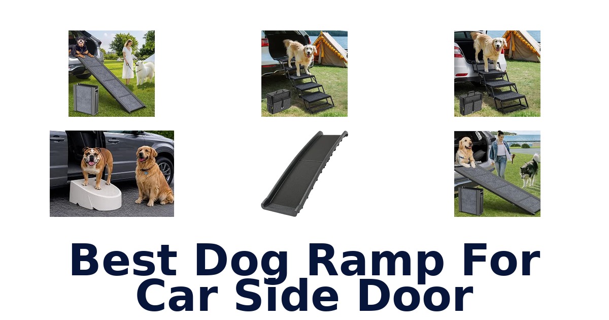 Best Dog Ramp For Car Side Door