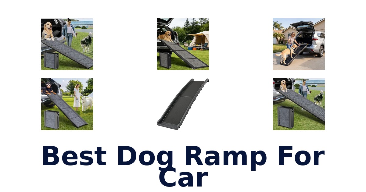 Best Dog Ramp For Car