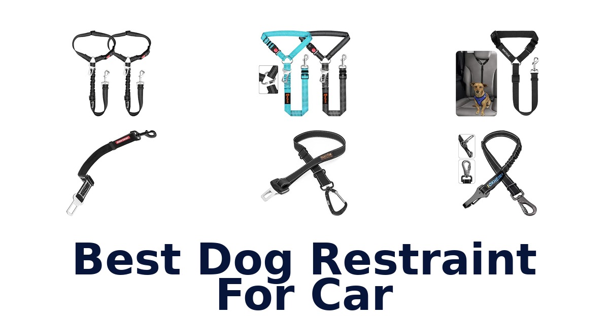 Best Dog Restraint For Car
