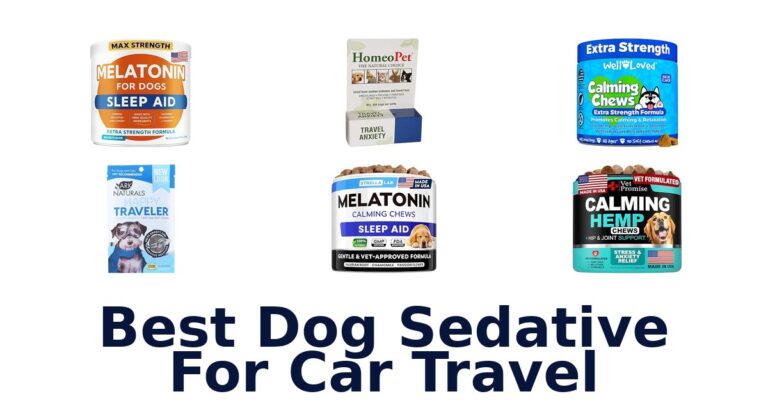 Best Dog Sedative For Car Travel
