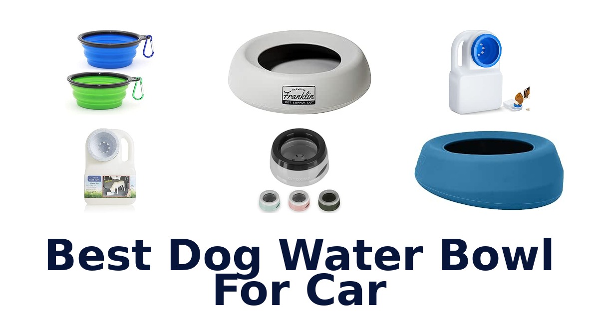 Best Dog Water Bowl For Car