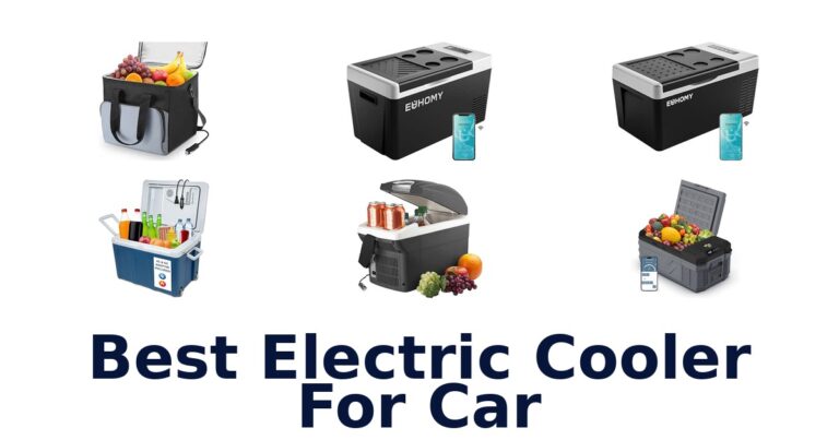 Best Electric Cooler For Car