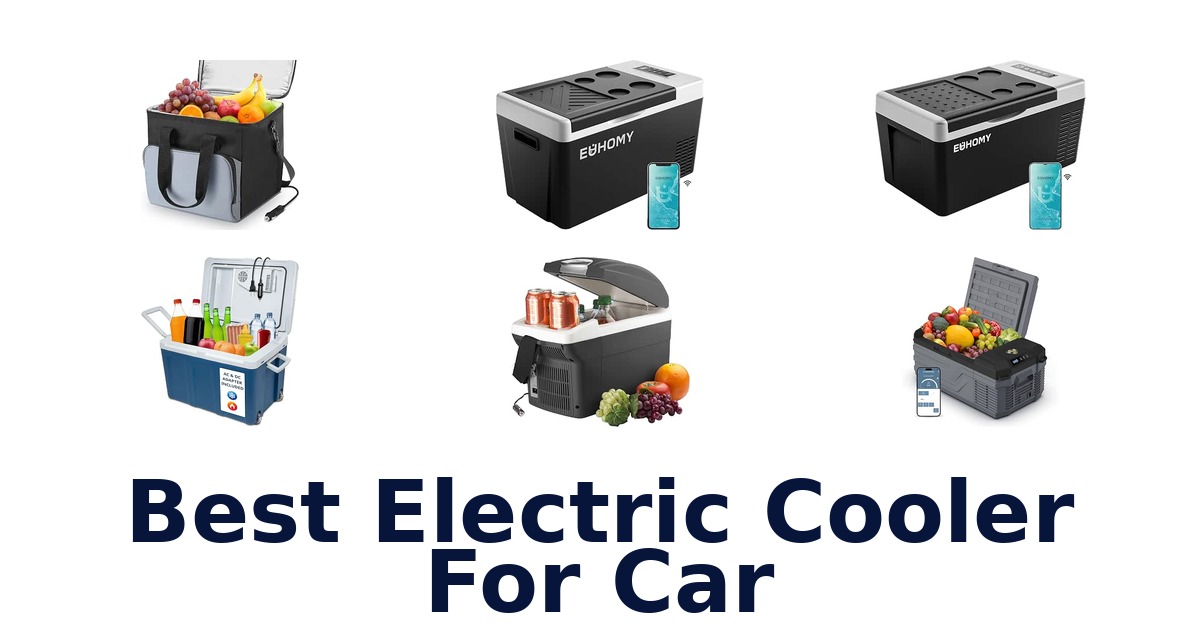 Best Electric Cooler For Car