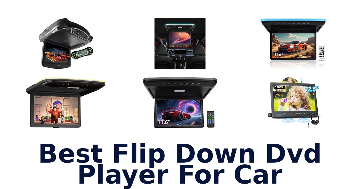 Best Flip Down Dvd Player For Car