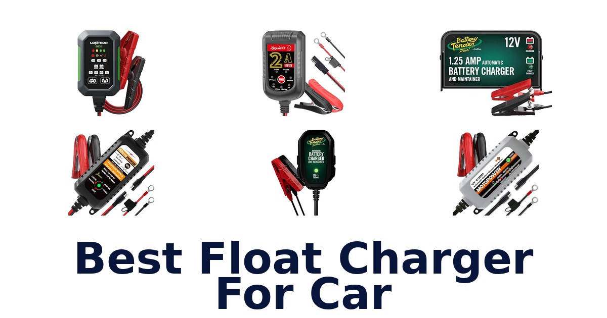 Best Float Charger For Car