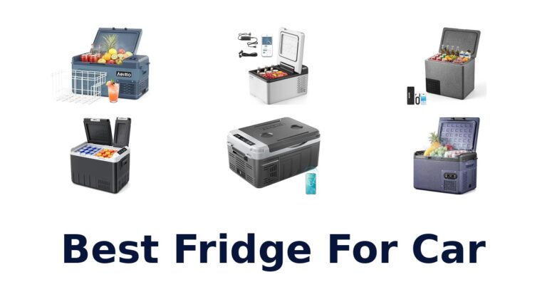Best Fridge For Car
