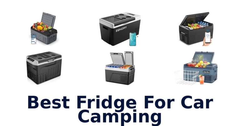 Best Fridge For Car Camping