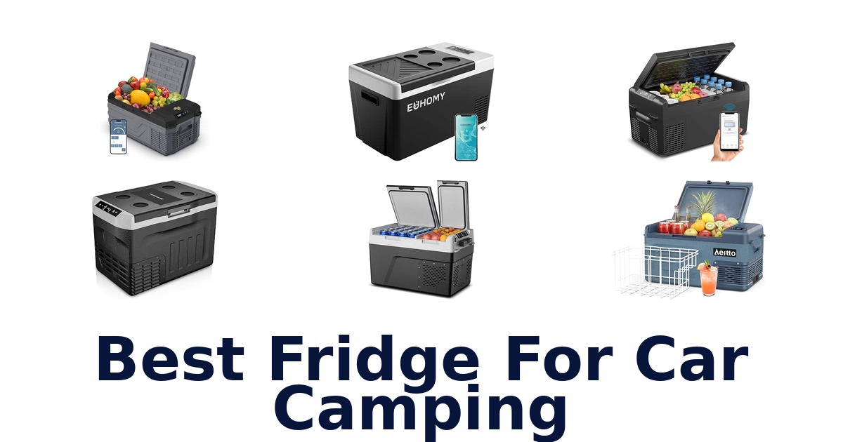 Best Fridge For Car Camping