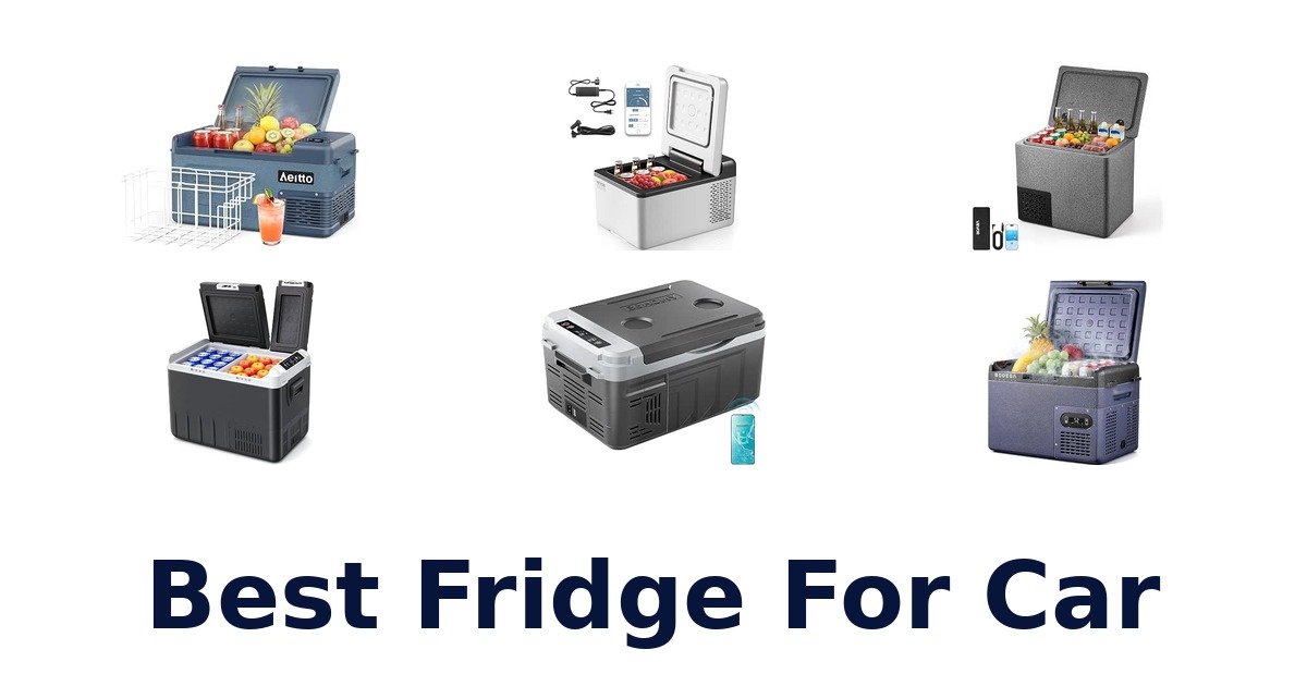 Best Fridge For Car