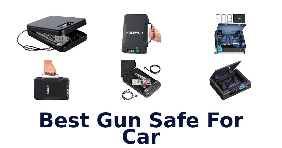Best Gun Safe For Car