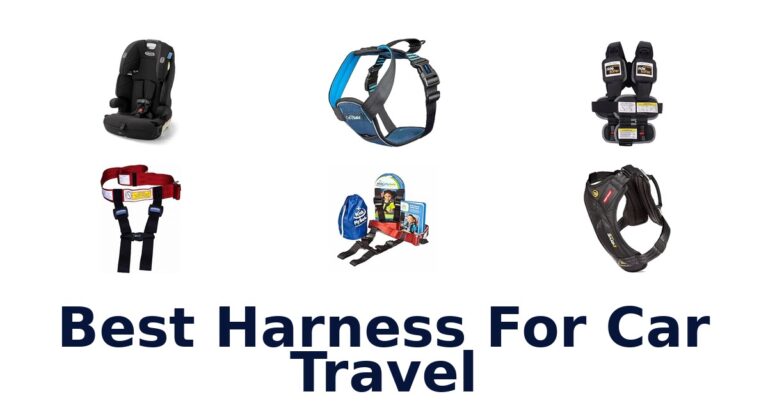 Best Harness For Car Travel