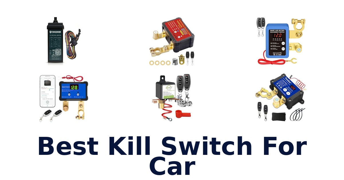 Best Kill Switch For Car