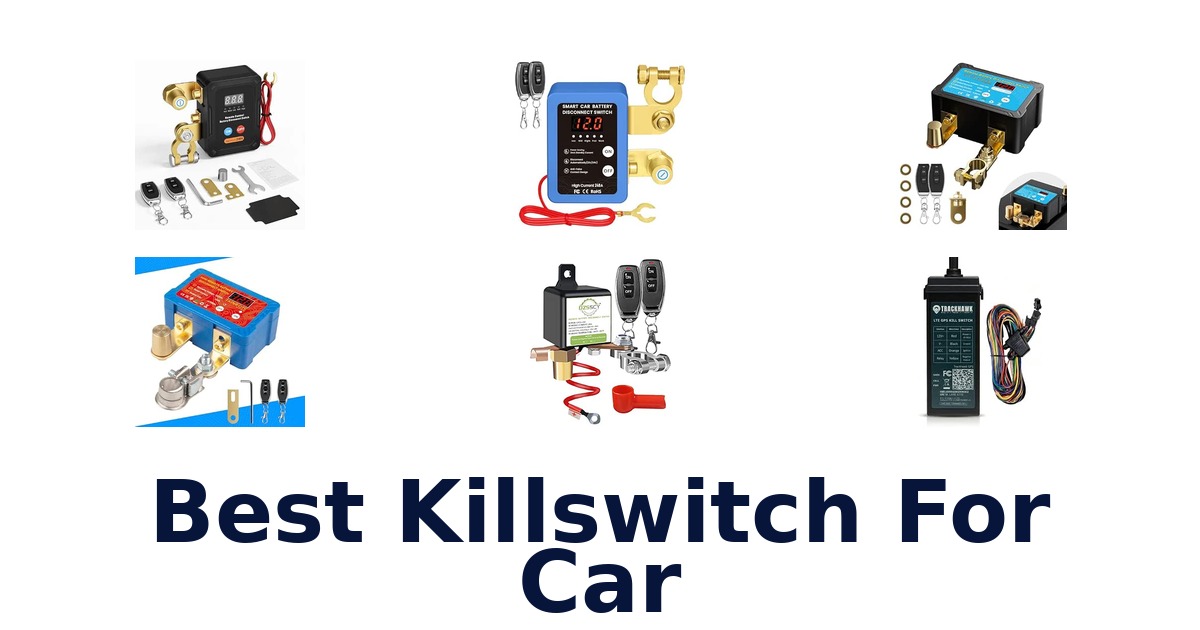Best Killswitch For Car