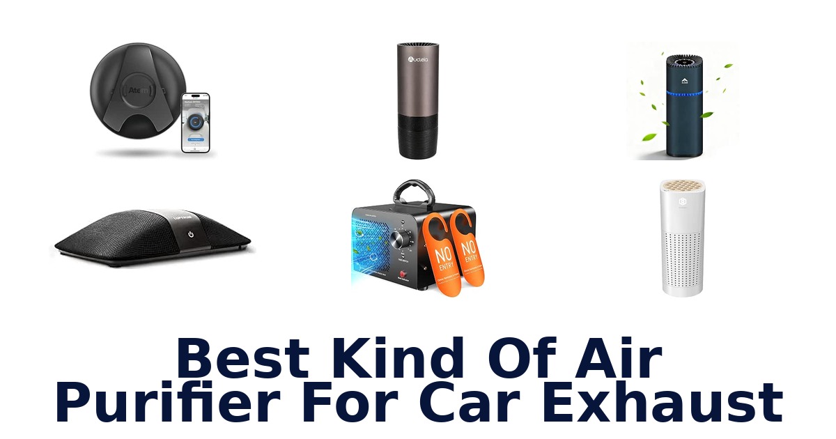 Best Kind Of Air Purifier For Car Exhaust