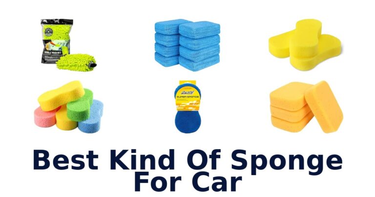 Best Kind Of Sponge For Car