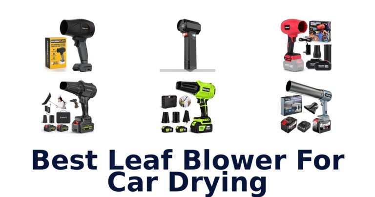Best Leaf Blower For Car Drying