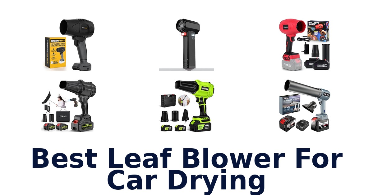 Best Leaf Blower For Car Drying