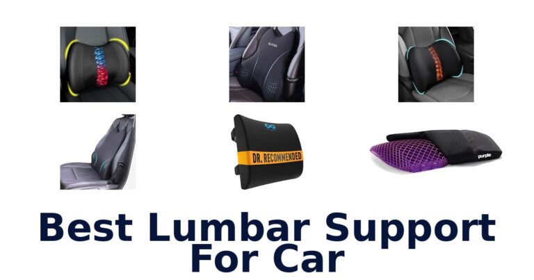 Best Lumbar Support For Car