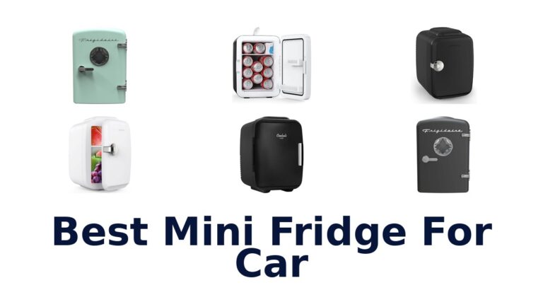 Best Mini Fridge For Car
