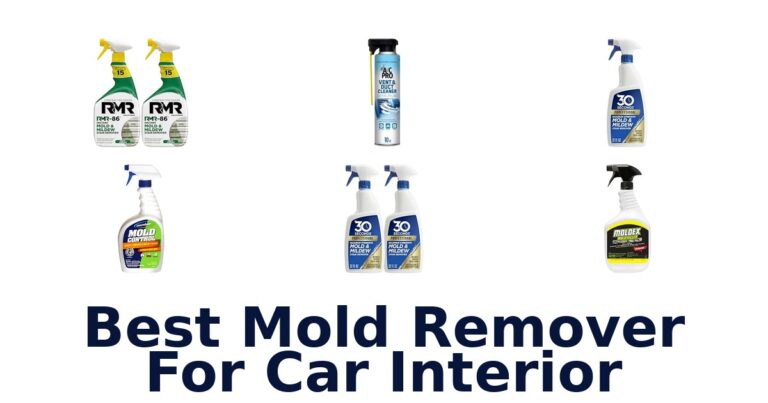 Best Mold Remover For Car Interior