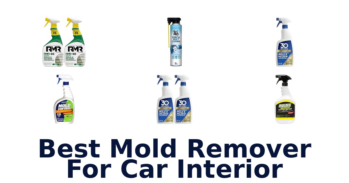 Best Mold Remover For Car Interior