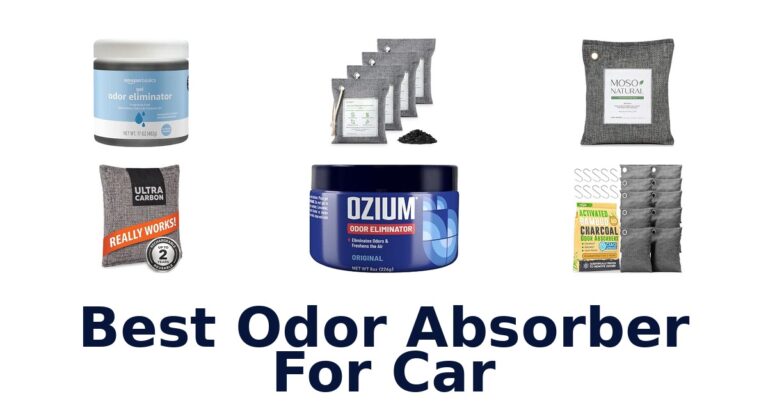 Best Odor Absorber For Car