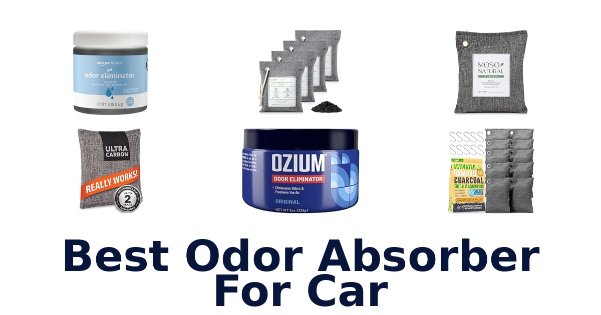 Best Odor Absorber For Car