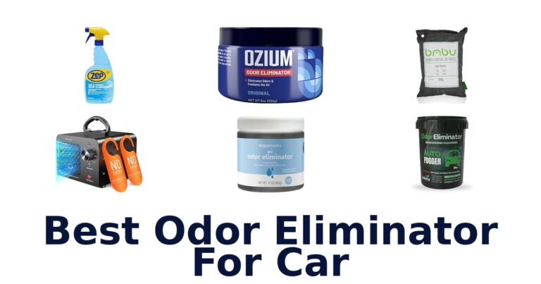 Best Odor Eliminator For Car