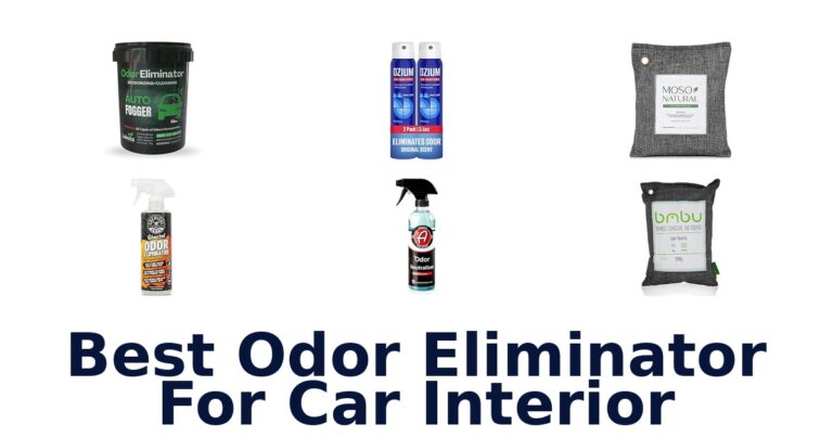 Best Odor Eliminator For Car Interior