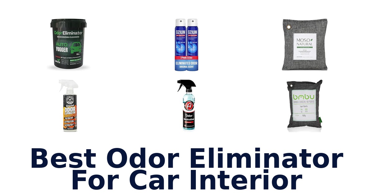 Best Odor Eliminator For Car Interior