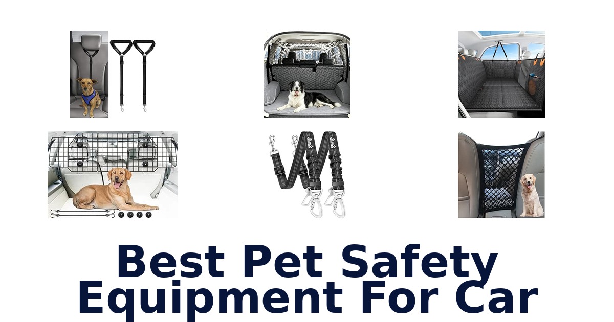 Best Pet Safety Equipment For Car